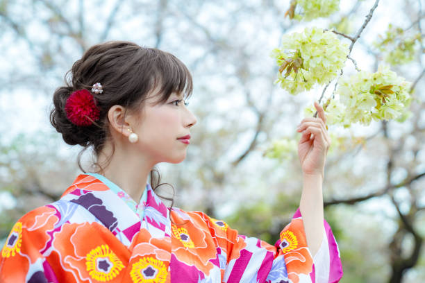 Young asian girl wearing kimono (Japanese traditional clothes).